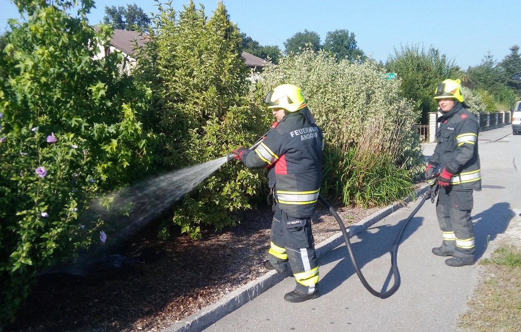 Entstehungsbrand
