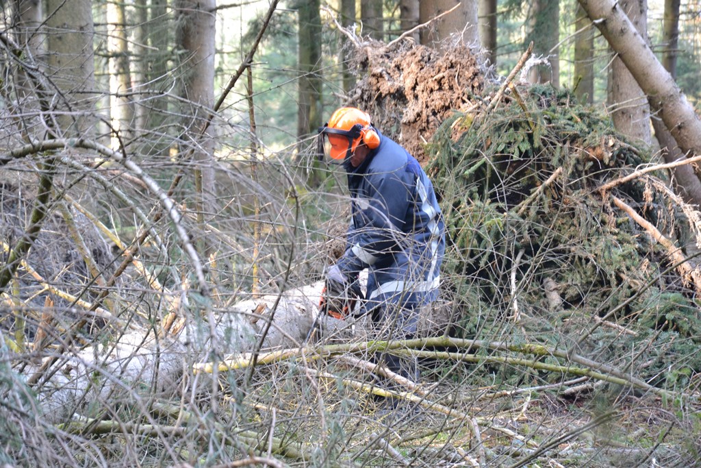 Waldarbeit