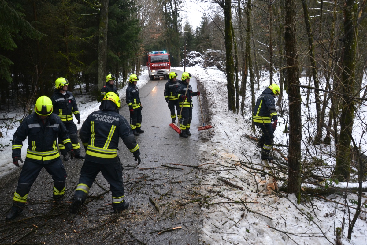 2019 01 13 FF Andorf Baum ueber Strasse WEB DSC 0188