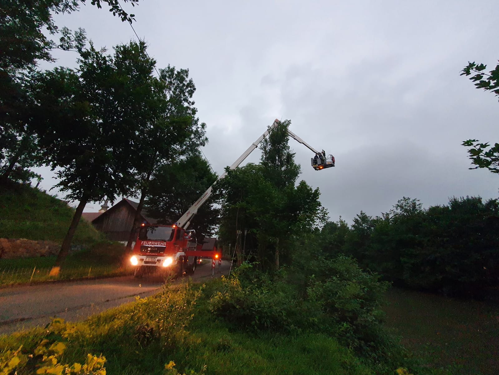 2022 06 28 FF Andorf Tierrettung 63086110 ed72 4df4 90ed bc706f50eb49