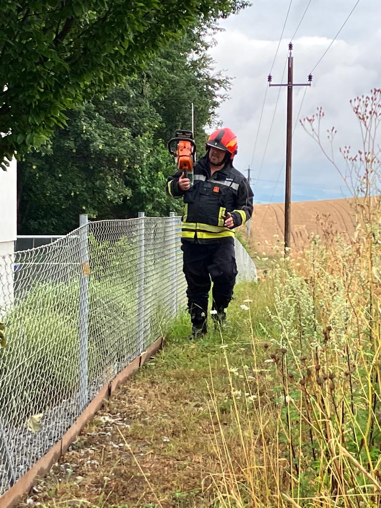 2023 07 17 FF Andorf Baum auf Stromleitung 144051e2 9f8d 483b b191 d11190362541