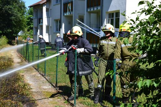 Brand Pramuferböschung - 22.07.2013
