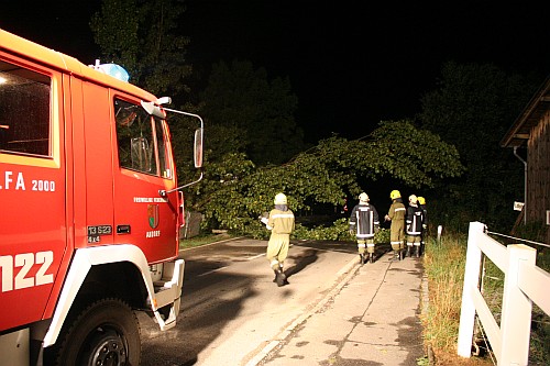 Sturmeinsatz Baum über der Taufkirchner-Straße Gewitterfront zog über Andorf - 07.08.2013